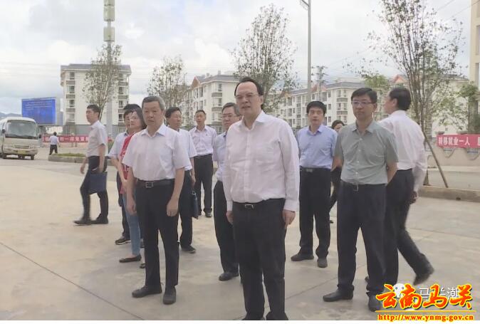 中国农业发展银行调研组到马关县调研